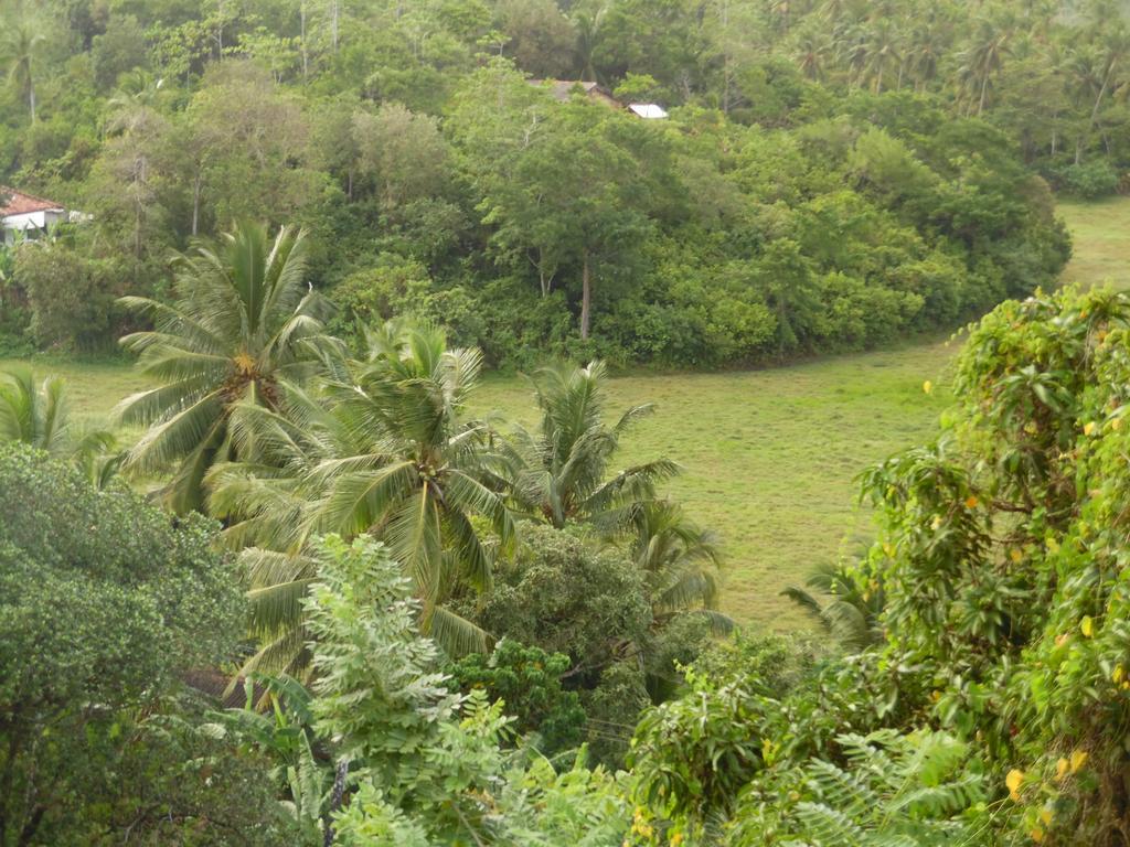 Mount View Villa Resort มิริสซา ภายนอก รูปภาพ