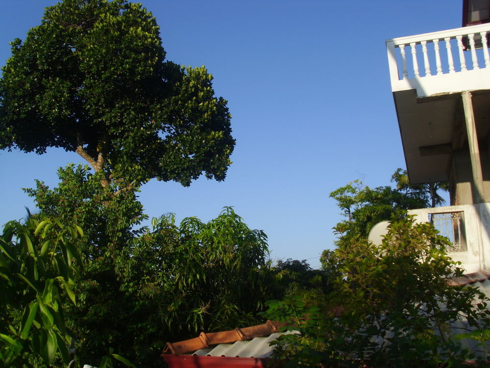 Mount View Villa Resort มิริสซา ภายนอก รูปภาพ